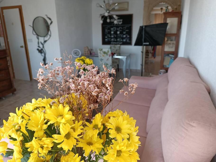 Appartement Rosamiel *